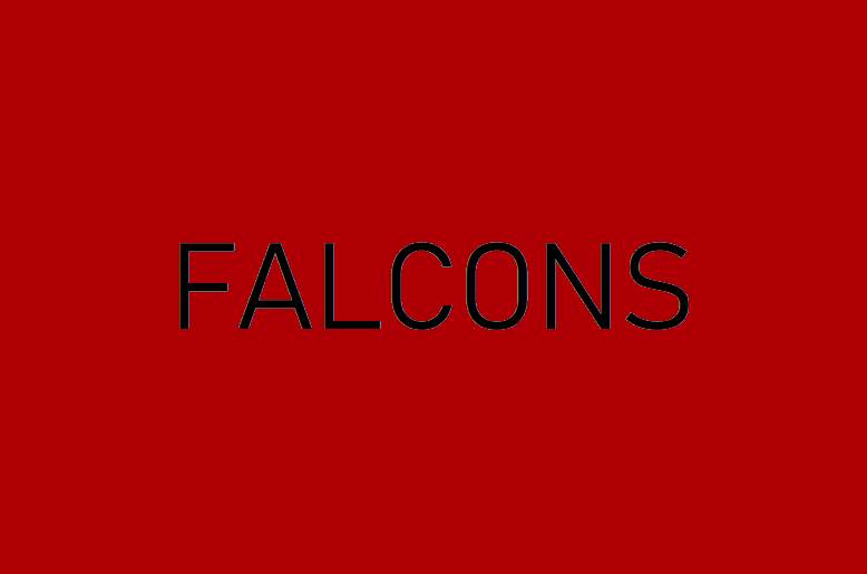 Atlanta Falcons